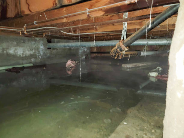 Best Flood damage cleanup  in Fayetteville, PA