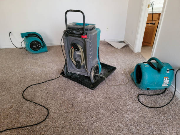 Best Water damage repair service  in Fayetteville, PA