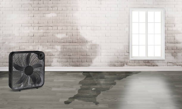 Best Professional water damage repair  in Fayetteville, PA
