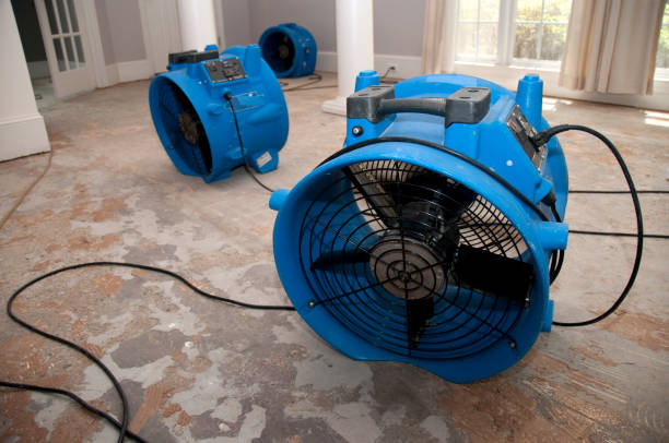 Best Water damage restoration near me  in Fayetteville, PA